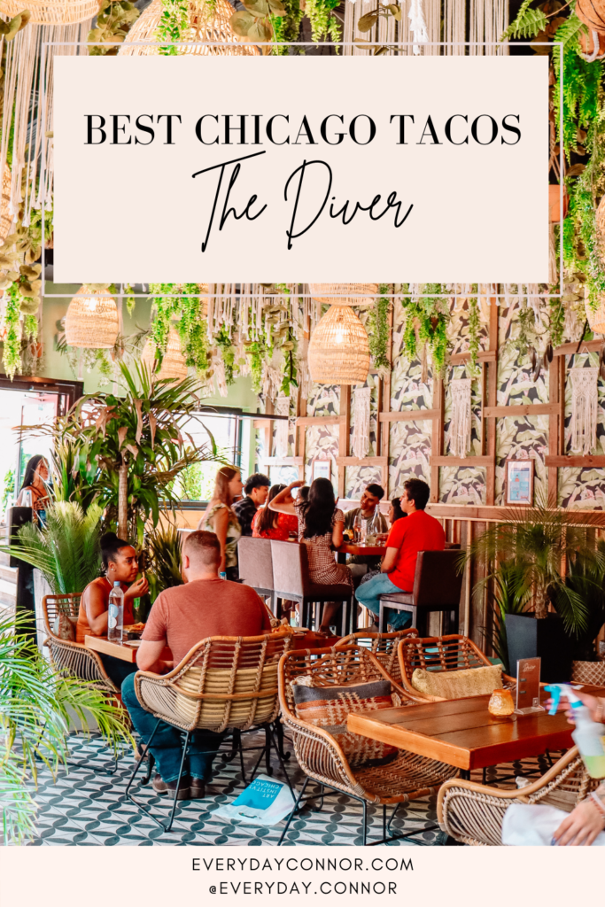 The Diver - The Best Chicago Tacos - Everyday Connor | Influencer Coach