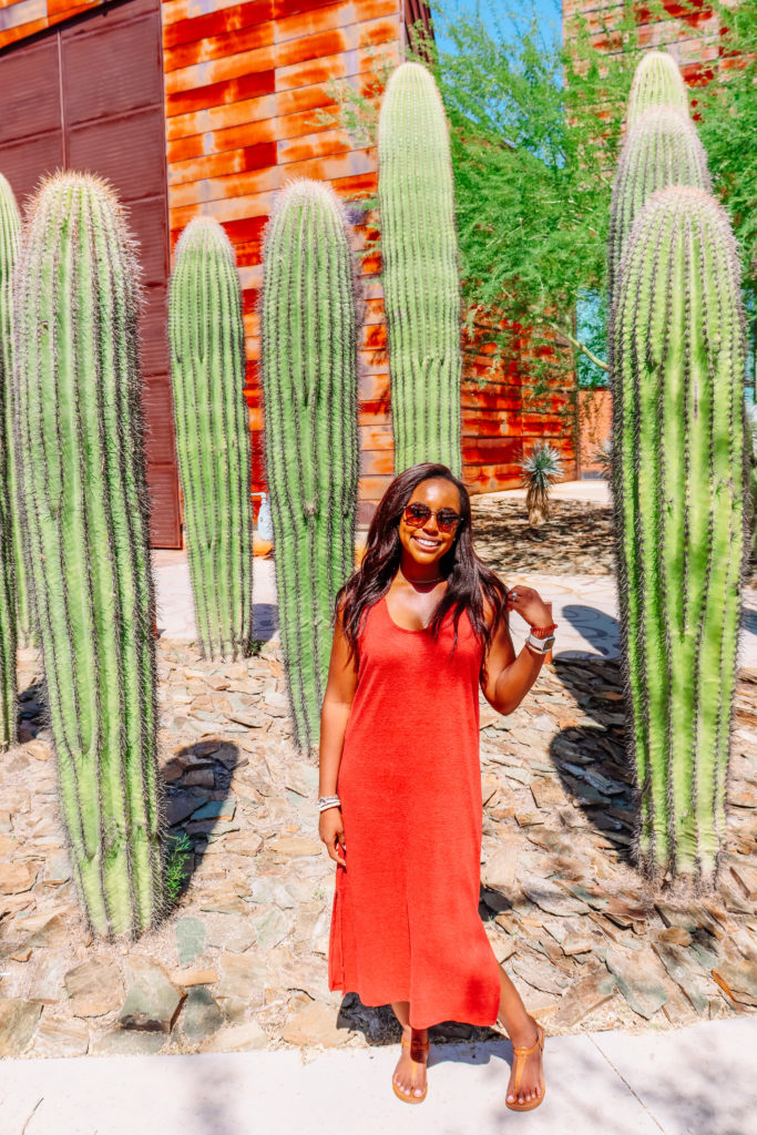 Instagrammable Places in Scottsdale Arizona